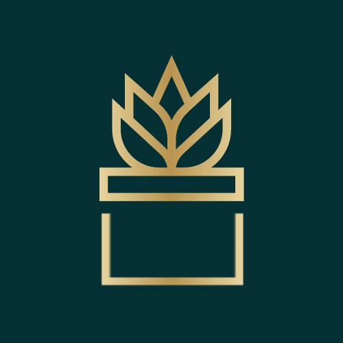 Złote kontury rośliny w doniczce na ciemnozielonym tle, minimalistyczny design logo.