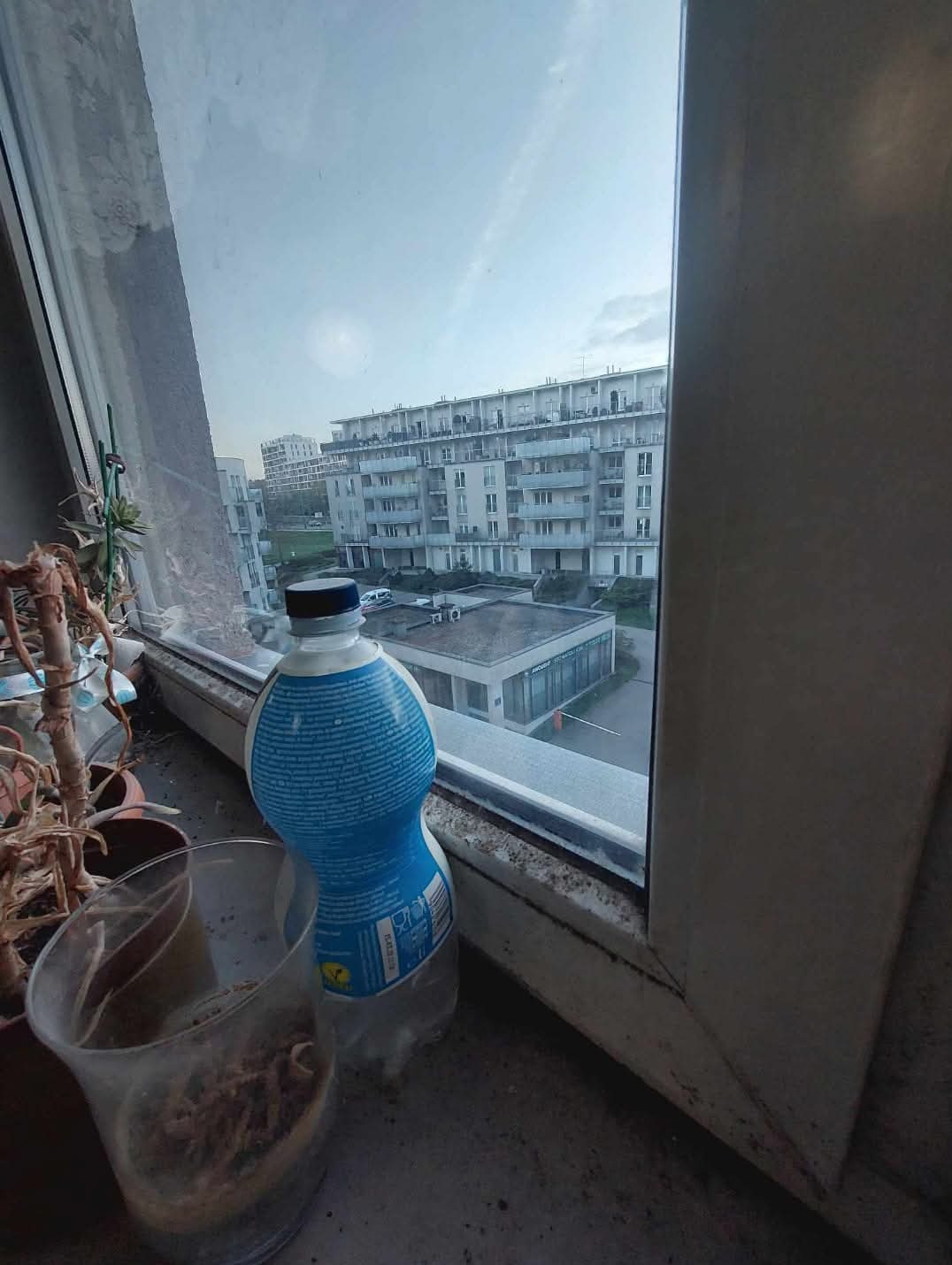 Mocno zabrudzone okno z widokiem na blok mieszkalny, butelka wody i doniczka z uschniętą rośliną na parapecie.