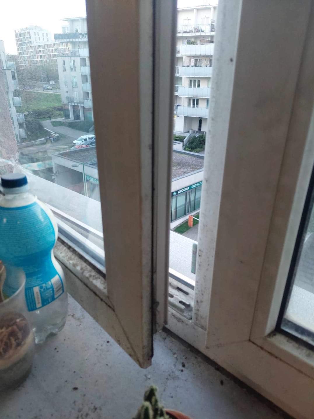 Brudne, białe ramy okienne z widocznymi śladami pleśni i kurzu, z butelką wody i rośliną na parapecie, widok na budynki mieszkalne i plac z zielenią.