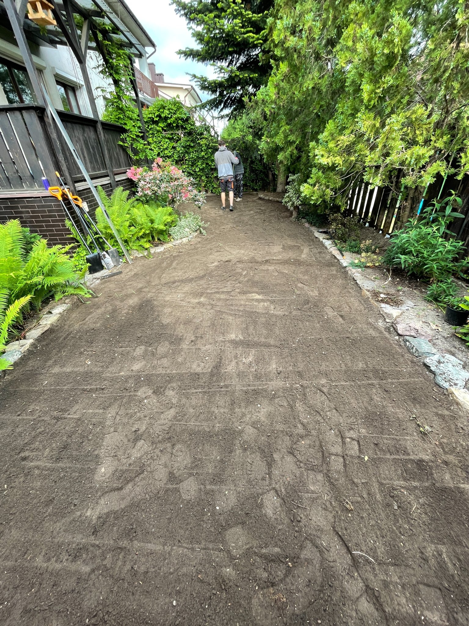 Zakładanie trawnika