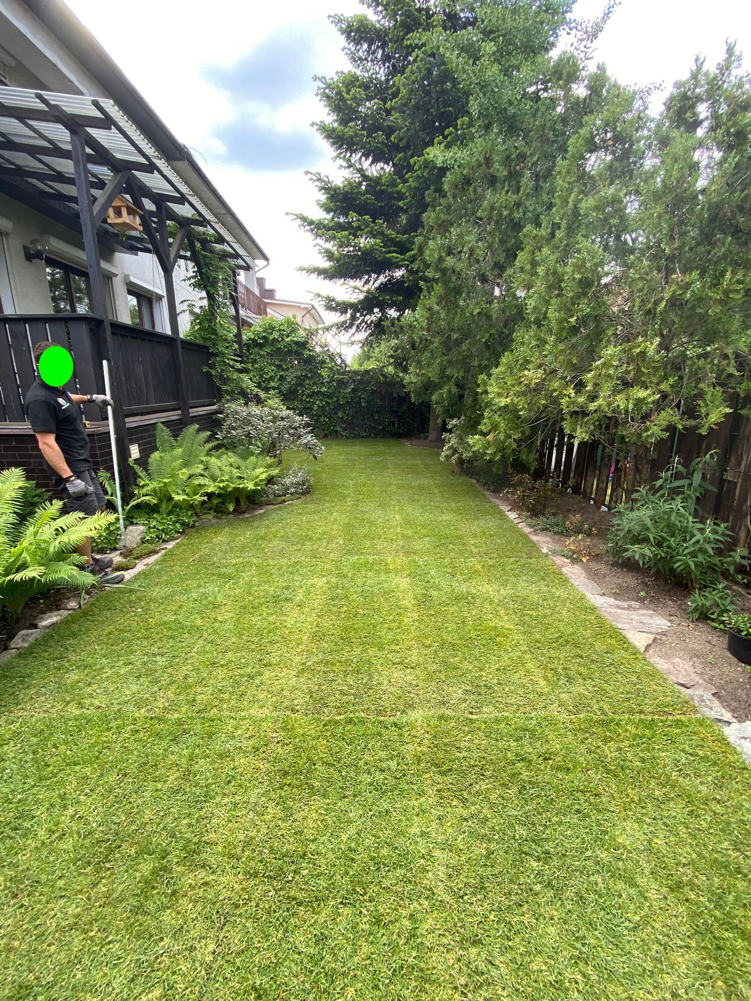 Ułożona trawa z rolki w ogrodzie przydomowym, widoczny pracownik z narzędziem do wyrównywania, obrzeża z kamienia i roślin