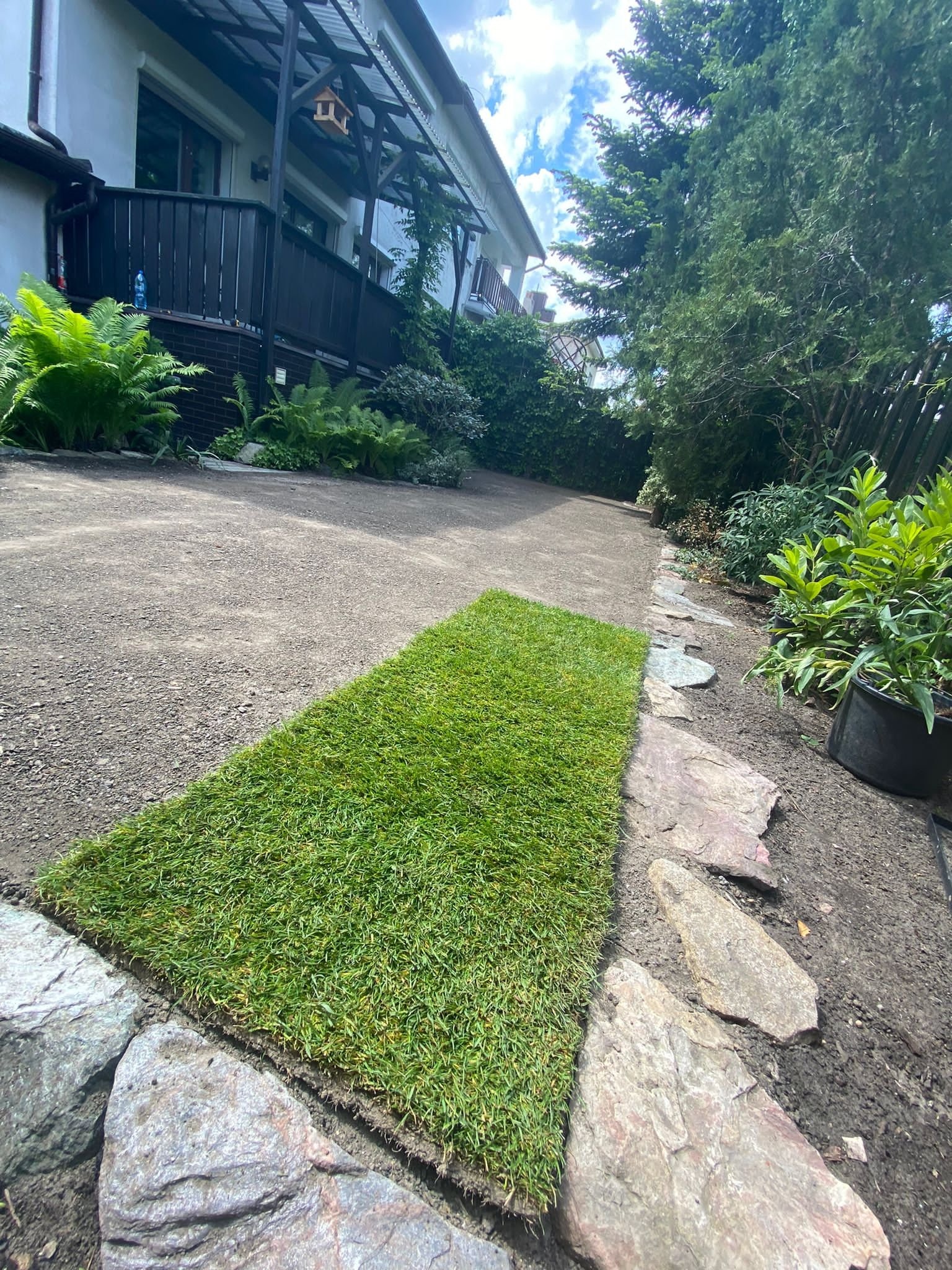 Fragment układania trawy z rolki w ogrodzie przydomowym, widoczny świeży fragment trawnika obok ścieżki z kamieni, w tle dom z drewnianą balustradą.