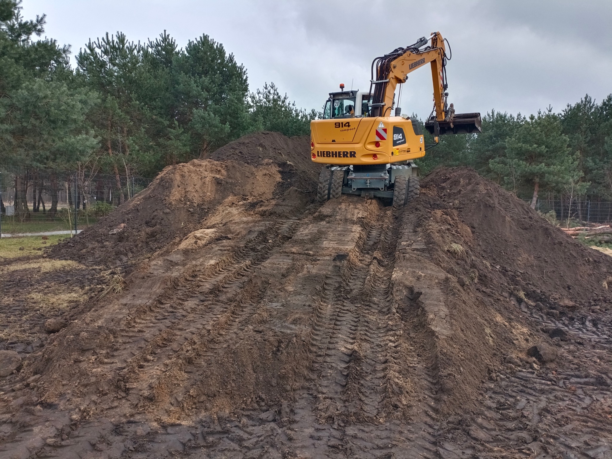 Żółta koparka Liebherr 914 na wzgórzu ziemi z wyraźnymi śladami opon, w tle las iglasty i pochmurne niebo. Widok z dołu, podkreślający skalę prac ziemnych.