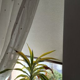 Volodymyr Vorobets - Jasna roleta wewnętrzna zamontowana w oknie, widoczna za firanką i rośliną doniczkową, z fragmentem ramy okiennej i ściany po prawej stronie.