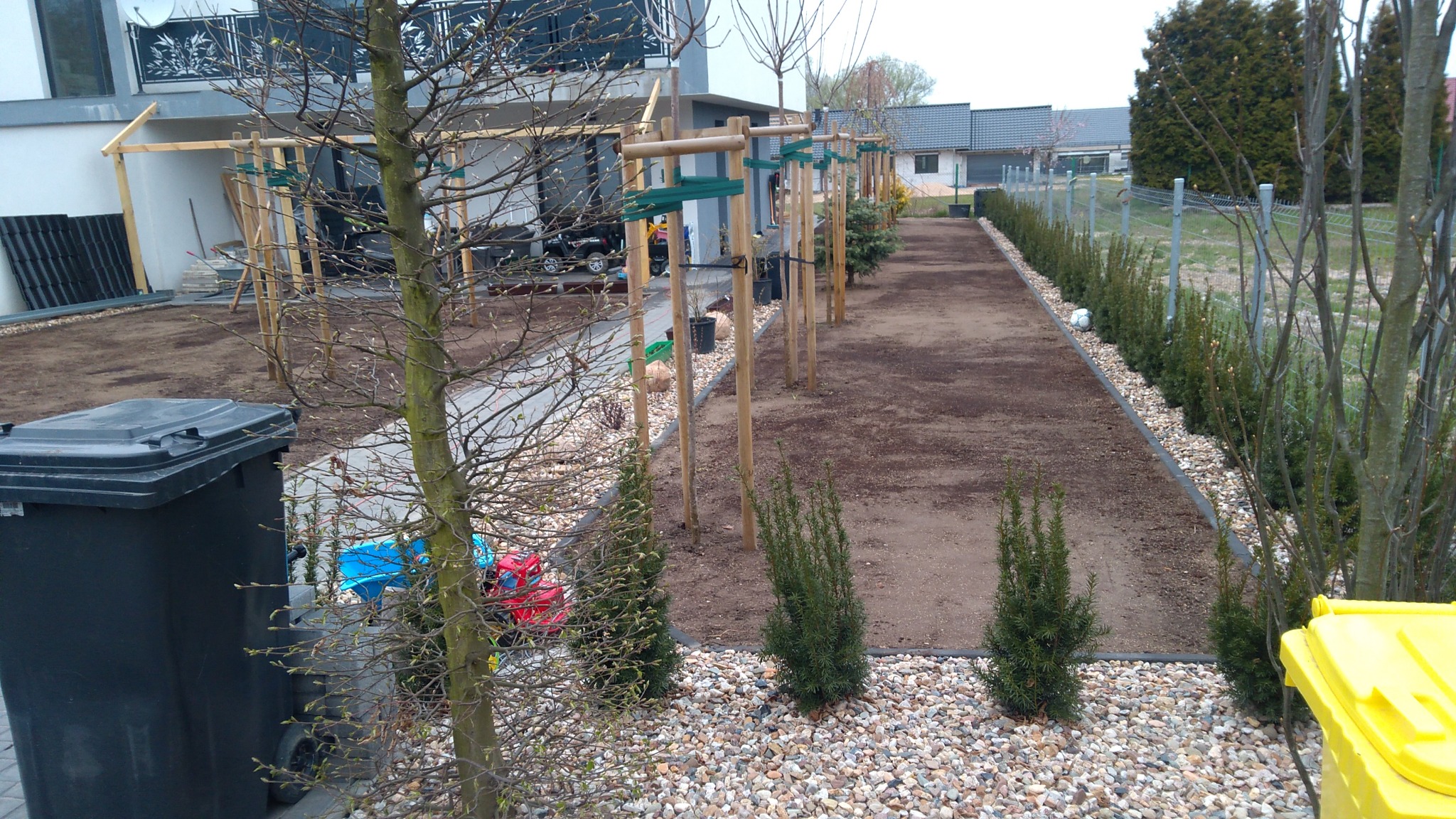 Nowo założony trawnik z młodymi drzewkami podpartymi drewnianymi stemplami, obrzeża wysypane drobnym kamieniem, w tle nowoczesny dom z elementami w trakcie budowy.