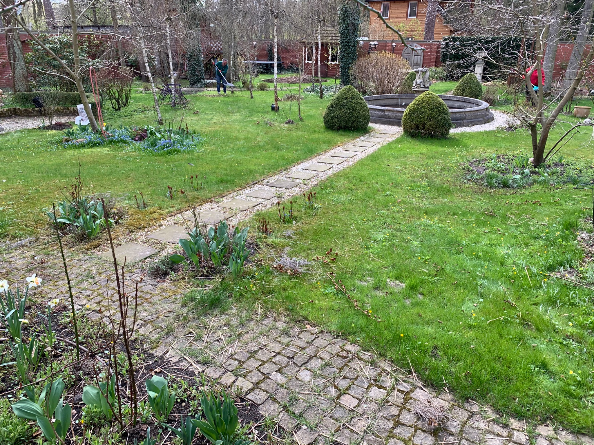 Pielęgnacja ogrodów wymagających.