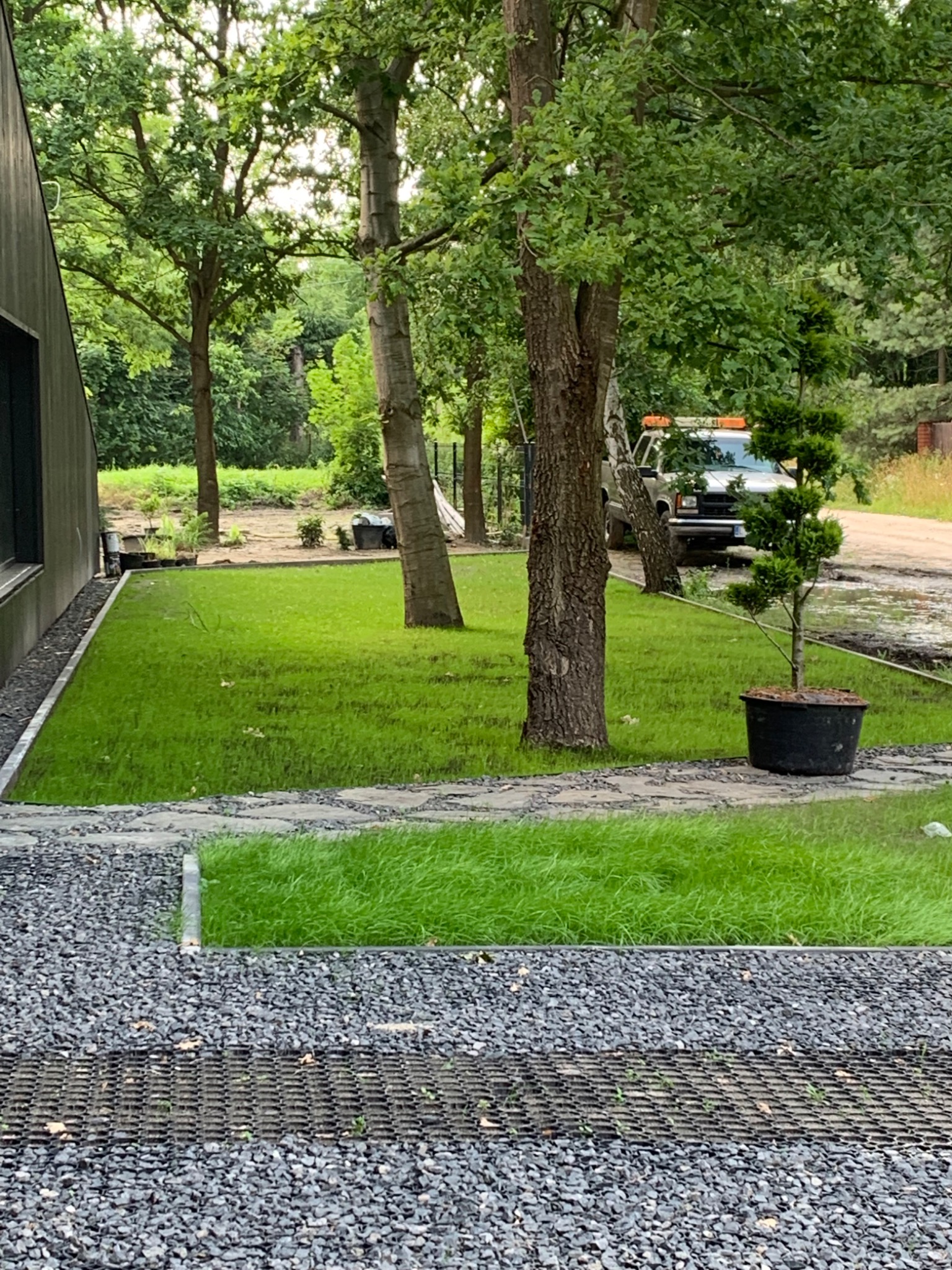 Podjazd i trawnik siany