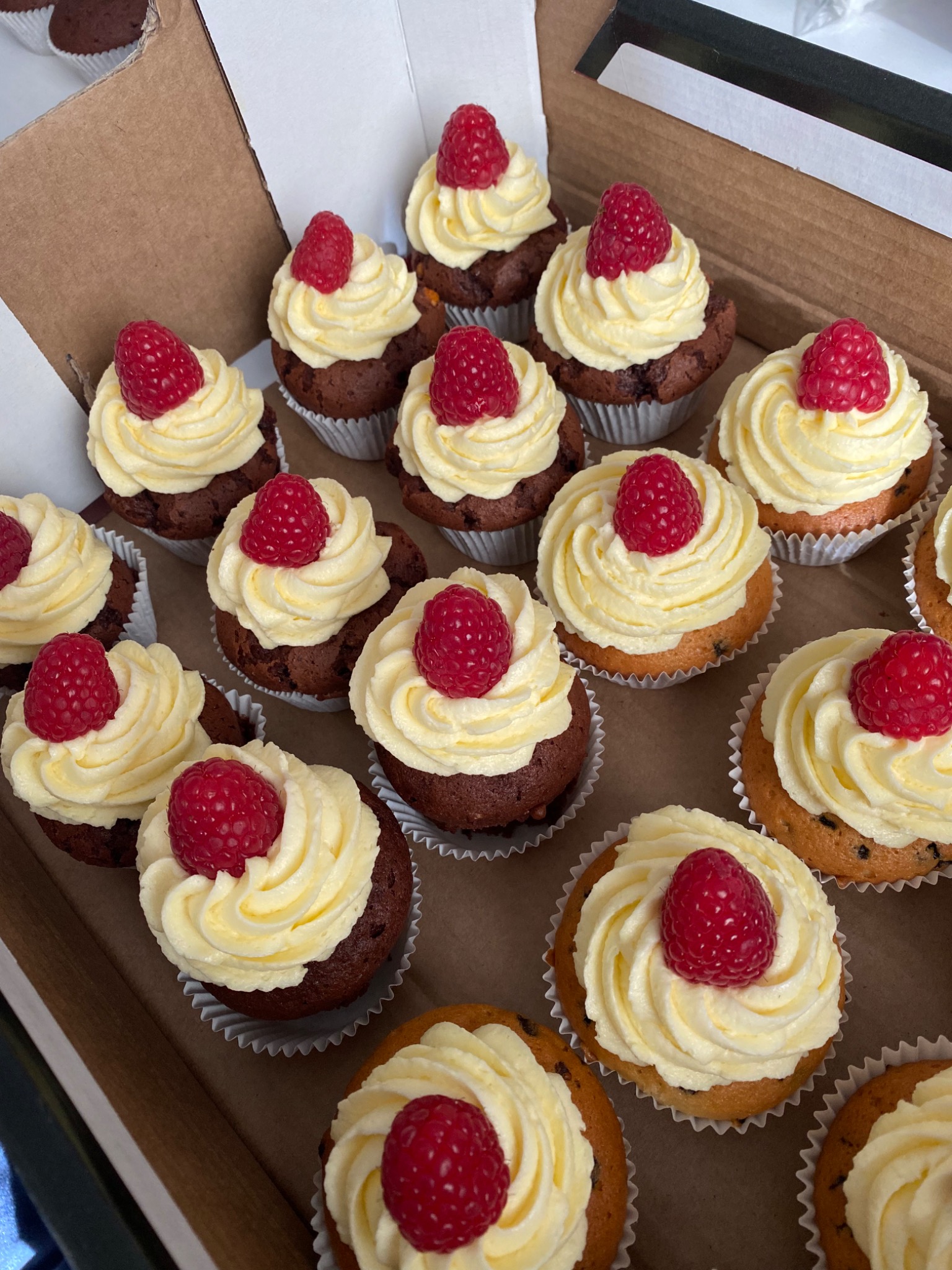 Kartonowe pudełko pełne babeczek z kremem waniliowym i malinami, część babeczek ma ciemne, czekoladowe ciasto, a część jasne z kawałkami czekolady, widoczne papierowe foremki.