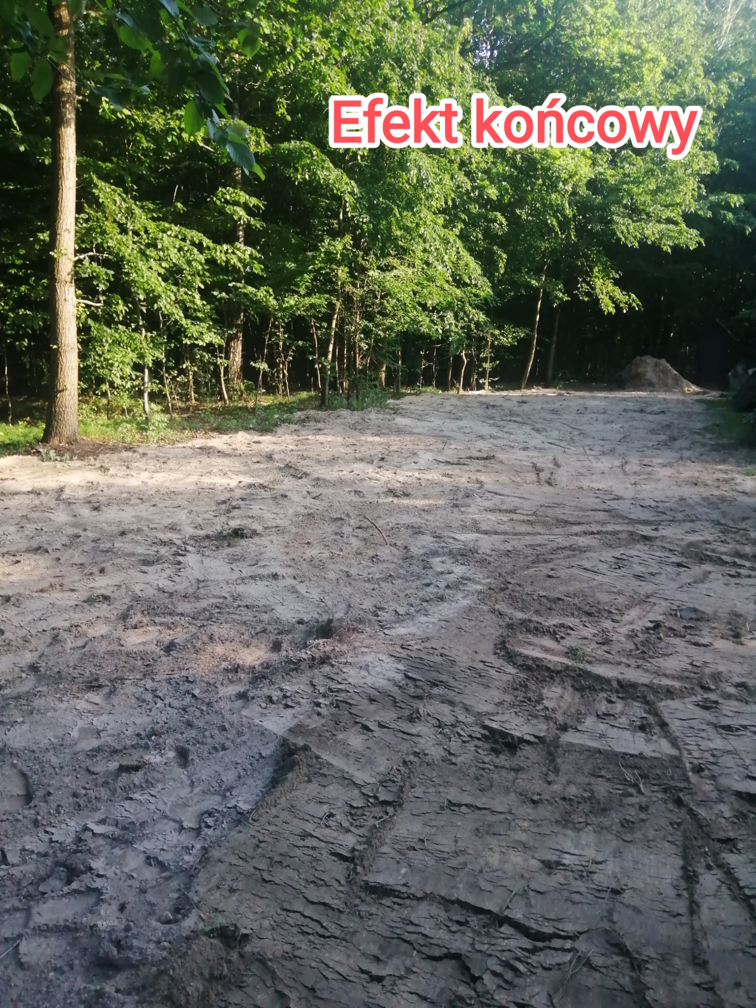 Wyrównany teren leśny po niwelacji, widoczne ślady opon i pryzma ziemi w tle.
