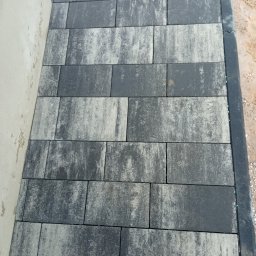 Dawid - Trawa z Rolki Mniów