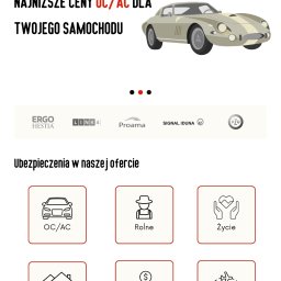 Projekt strony dla Reko Ubezpieczenia