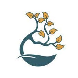 Strona internetowa Centrum Aura