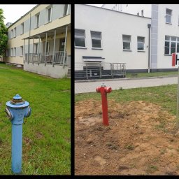 Flame Protect Kompleksowe Usługi Bhp i Ppoż - Porównanie dwóch hydrantów: niebieski hydrant na trawniku obok budynku z balkonami i czerwony hydrant na ziemi obok budynku z oznaczeniem 'H'.
