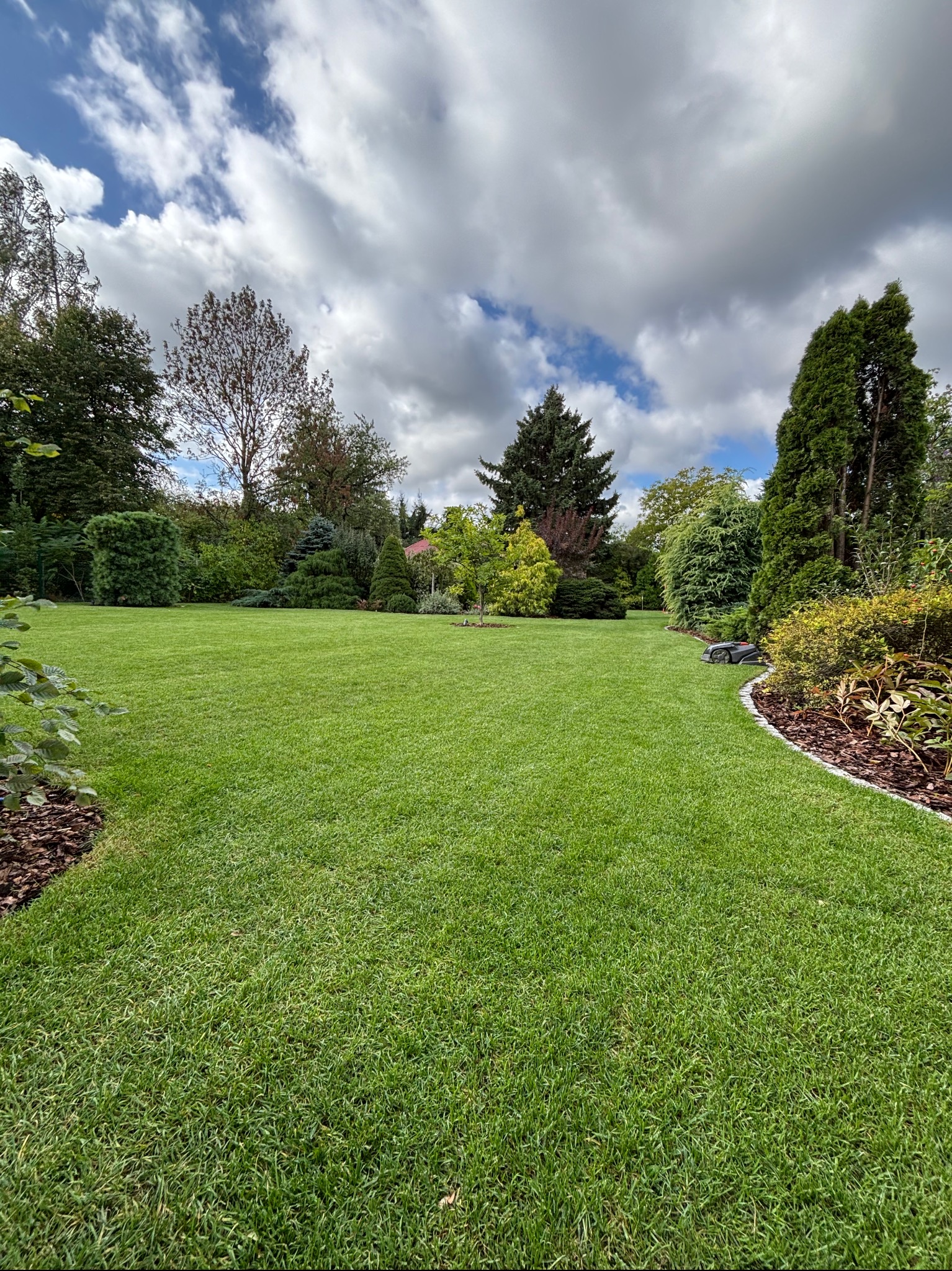 Zadbany trawnik z robotem koszącym, obrzeża z kory i kamienia, różnorodne drzewa i krzewy na tle pochmurnego nieba. Widok na wypielęgnowany ogród.