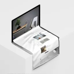 Laptop wyświetlający stronę internetową projektanta wnętrz z minimalistycznym designem, na której widoczne są zdjęcia zrealizowanych projektów i bonsai.