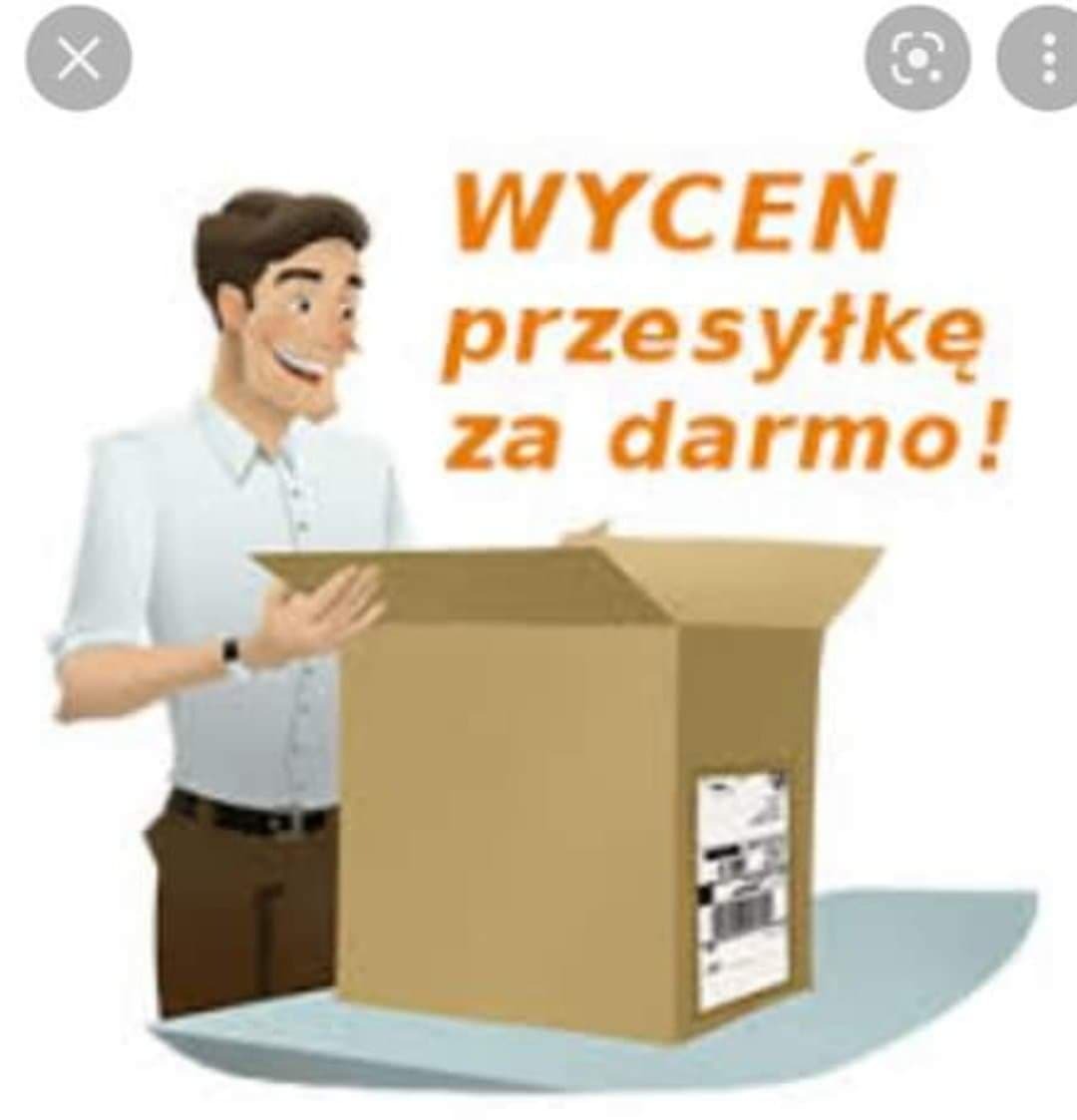 Animowana postać mężczyzny z otwartym kartonem i napisem 'Wyceń przesyłkę za darmo!'