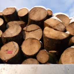 Stos pociętych kloców drewna opałowego, częściowo pokrytych śniegiem, z czerwoną etykietą na jednym z nich, na tle błękitnego nieba.