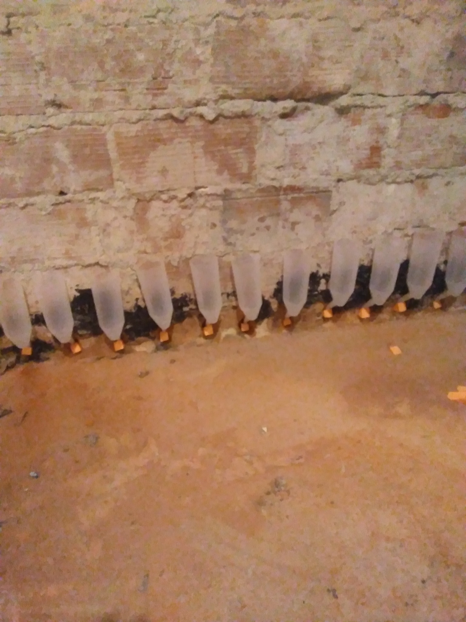 Iniekcja krystaliczna w murze ceglanym z widocznymi aplikatorami i wyciekającym płynem, zabezpieczenie przed wilgocią kapilarną.