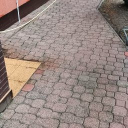 Wycinka drzew Jasienica 3