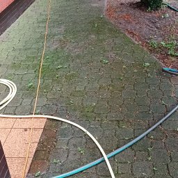 Wycinka drzew Jasienica 4