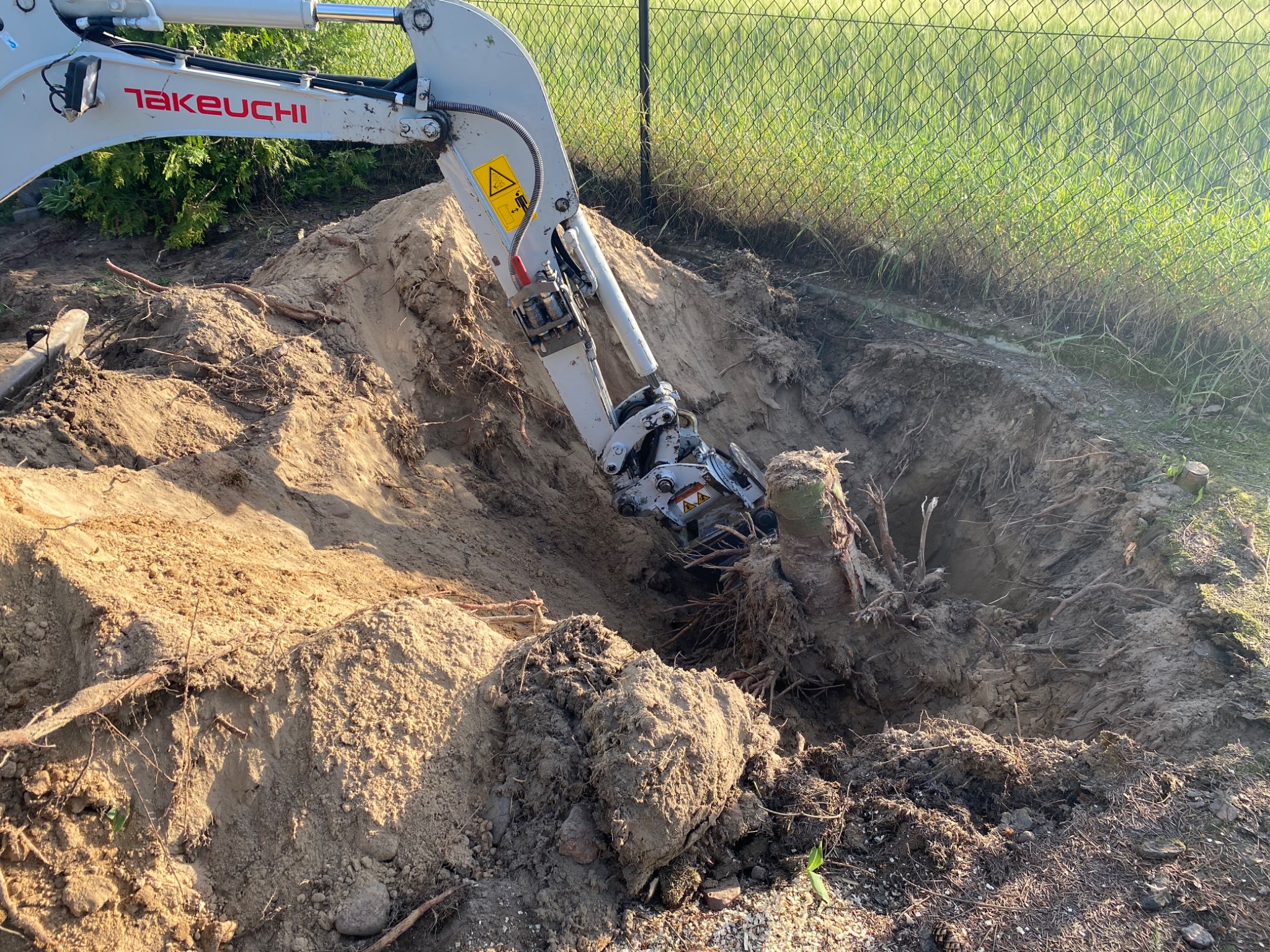 Mini koparka Takeuchi usuwa stary pień drzewa z ziemi, pozostawiając wykop z widocznymi korzeniami, na tle zielonego pola i siatki ogrodzeniowej.
