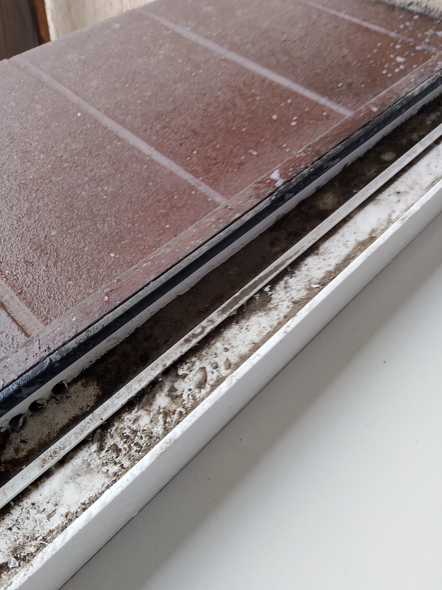 Silnie zabrudzone okno z brudną ramą i parapetem, widoczne osady kurzu i resztek organicznych.