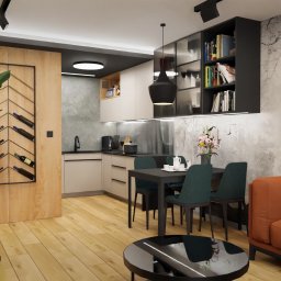 Salon z kuchnią w nowoczesnym mieszkaniu / ZAMBRÓW