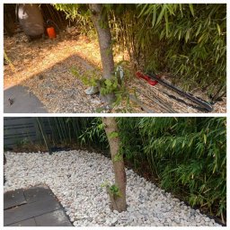 KOBRAStyle Maciej Wąsikowski - Porównanie stanu przed i po: obszar wokół drzewa z bambusami - najpierw z resztkami roślinnymi i narzędziami, potem wysypany białymi kamykami.