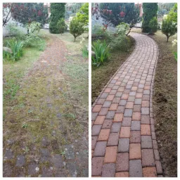 Porównanie: Zarośnięta mchem i chwastami ścieżka z kostki brukowej przed i po czyszczeniu, ukazująca efekt odzyskania koloru i usunięcia zabrudzeń.