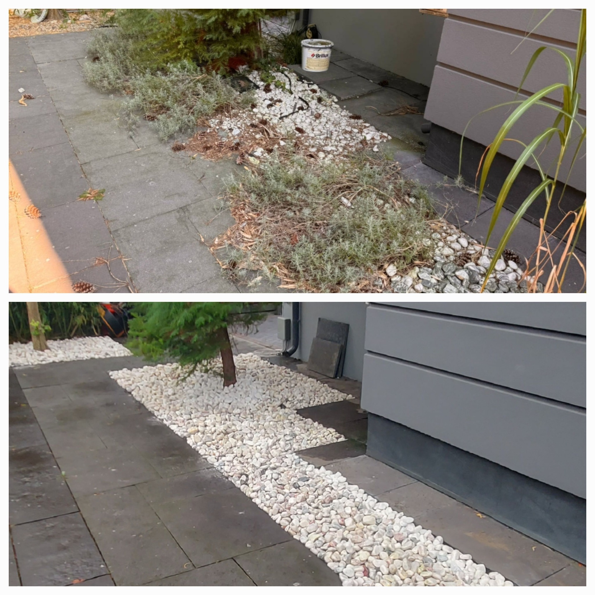 Porównanie stanu rabaty przed i po: usunięte chwasty, wyschnięte rośliny i brudne kamienie, zastąpione czystymi, białymi kamieniami dekoracyjnymi