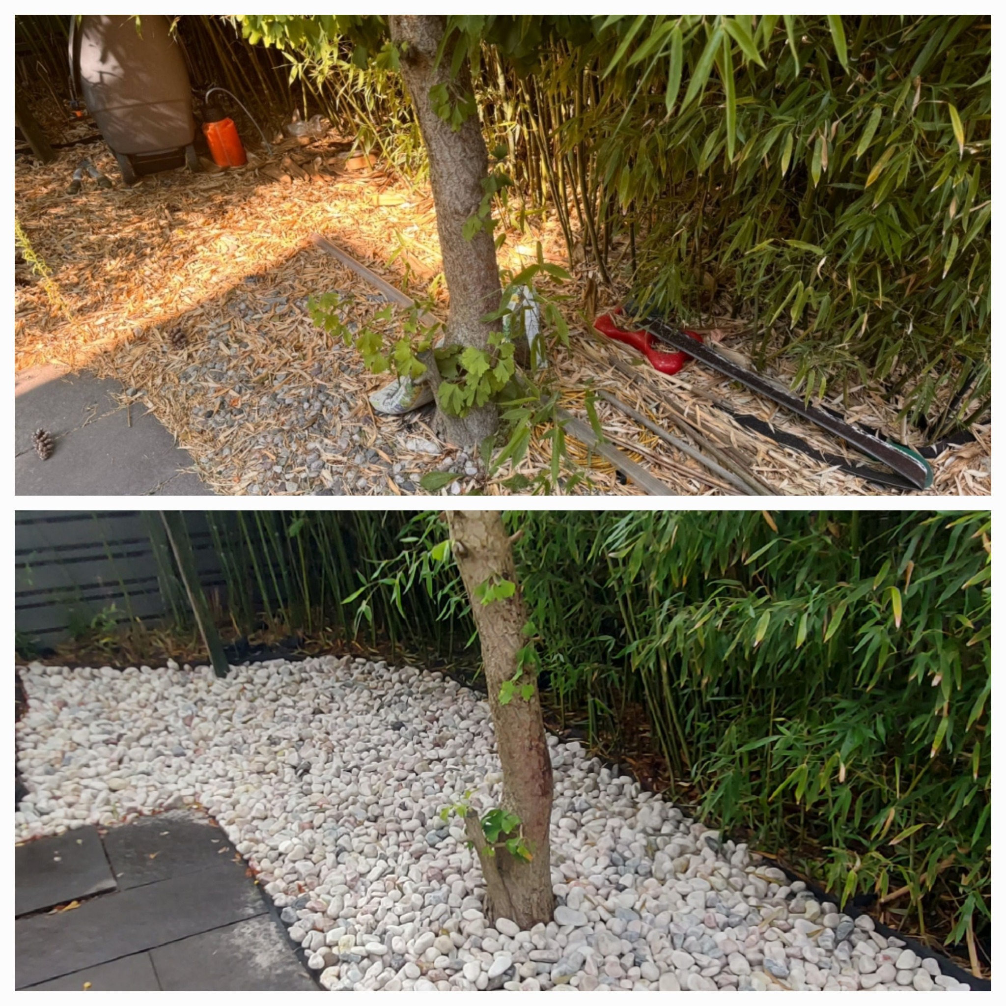Porównanie stanu przed i po: obszar wokół drzewa z bambusami - najpierw z resztkami roślinnymi i narzędziami, potem wysypany białymi kamykami.