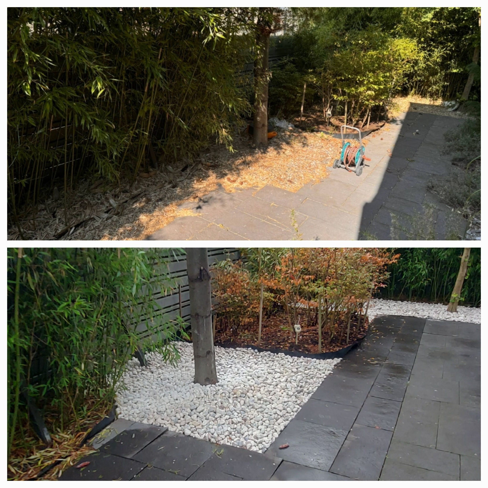Porównanie stanu ogrodu w Stargardzie przed i po: usunięte liście i gałęzie, nasypane białe kamienie ozdobne wokół drzewa, czysta kostka brukowa.