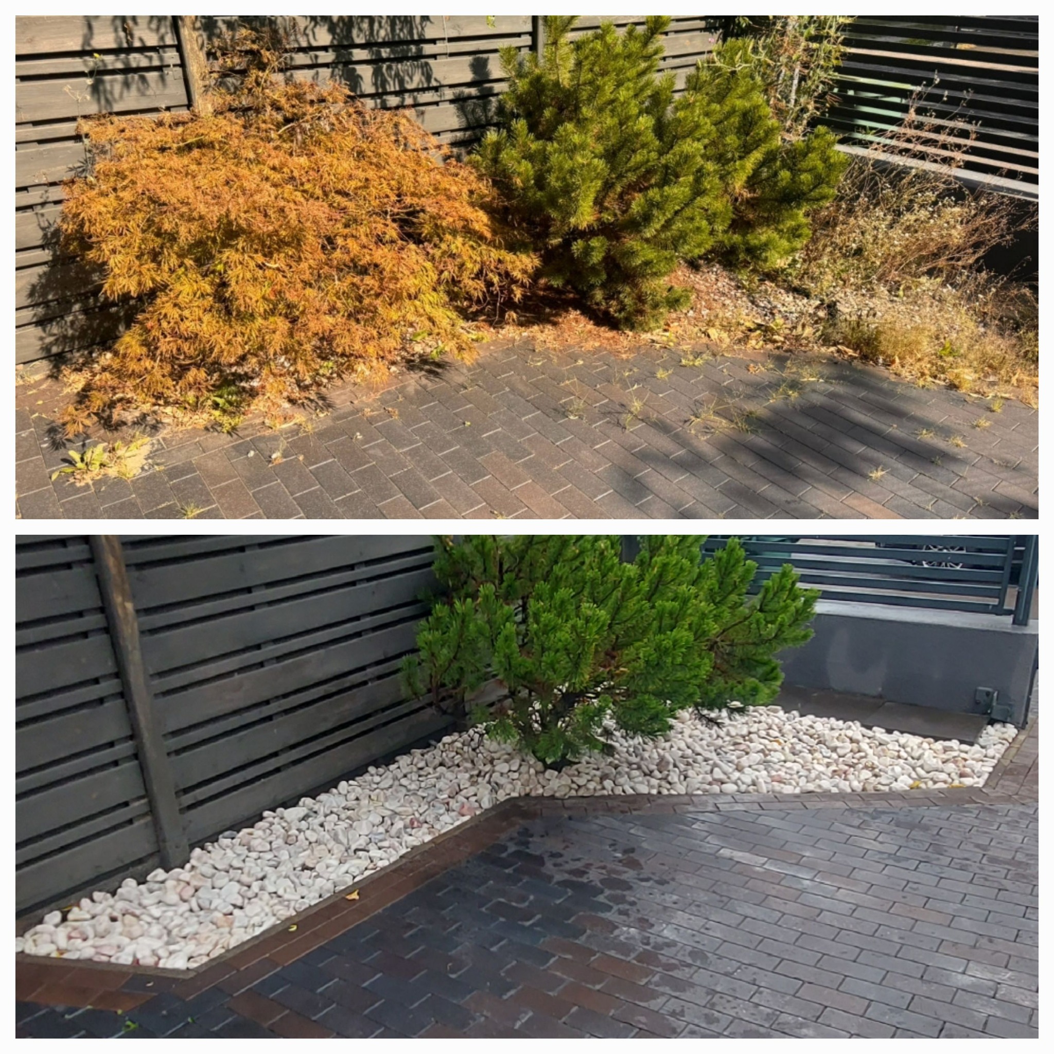 Porównanie stanu ogrodu przed i po: zaniedbane krzewy przy drewnianym płocie kontra schludny wygląd z kamieniami ozdobnymi i czystą kostką brukową.