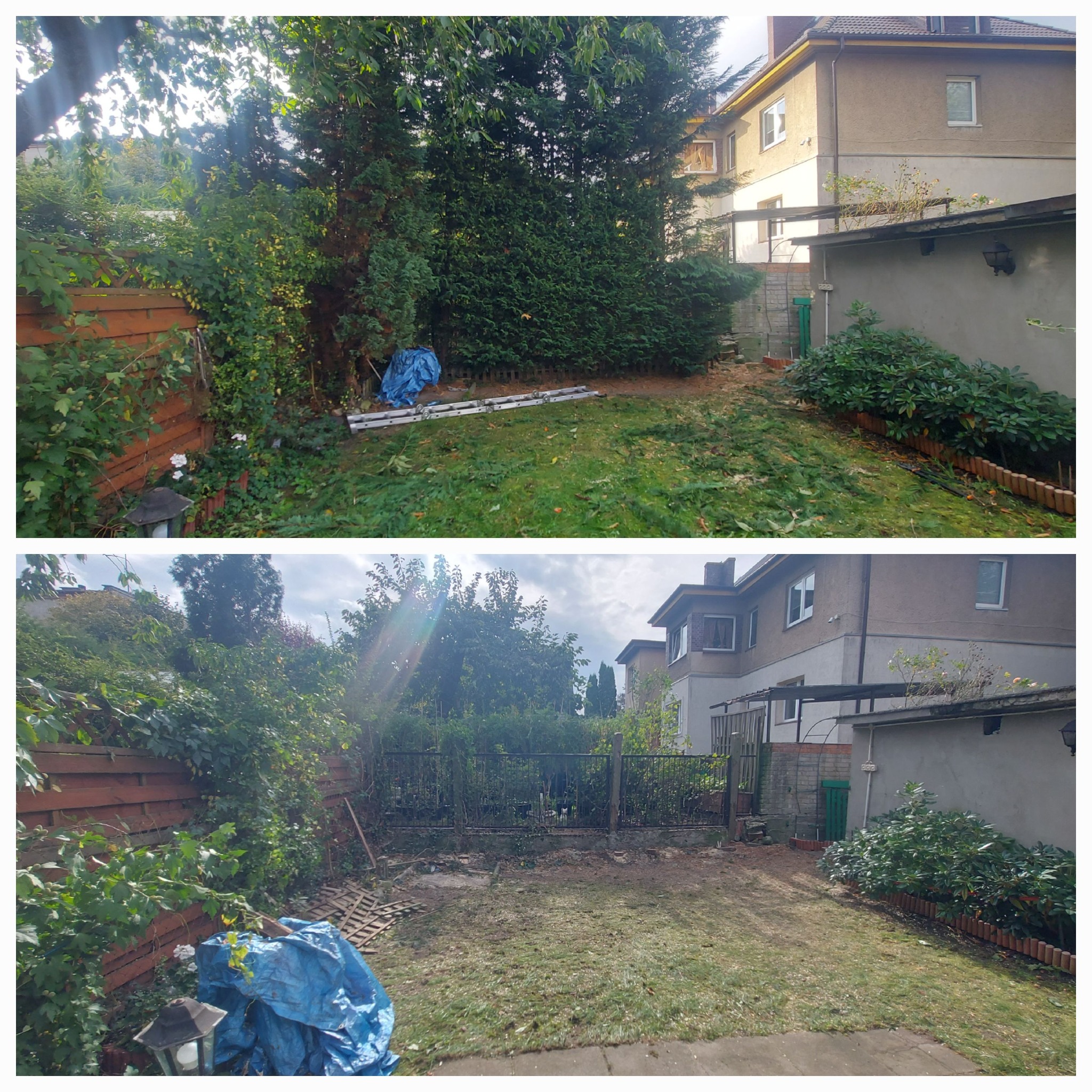 Porównanie ogrodu przed i po: zarośnięty ogród z drzewami i krzewami przed domem, po uporządkowaniu widoczne ścięte gałęzie, trawa i odsłonięta przestrzeń.