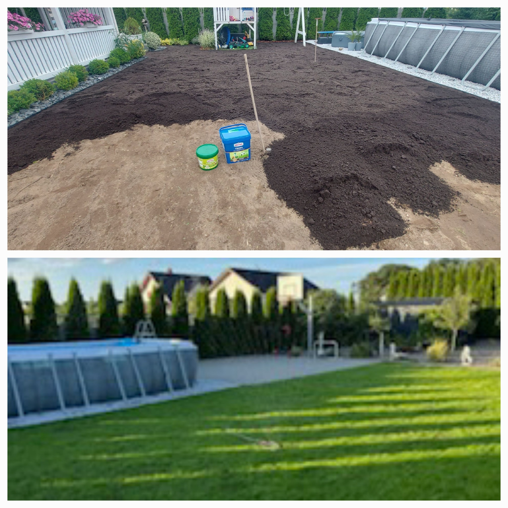 Przygotowanie terenu pod trawnik: wyrównana ziemia z widocznymi pojemnikami nawozów, w tle białe ogrodzenie i roślinność.