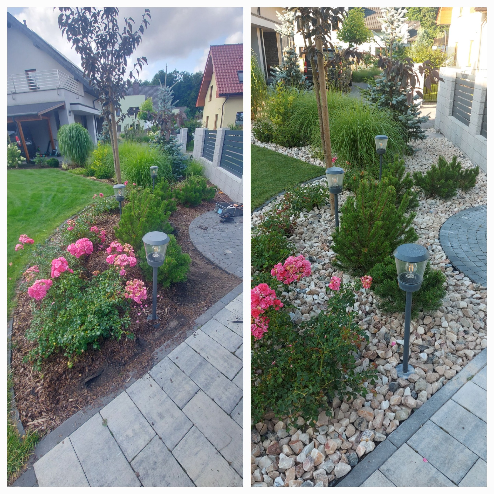 Dwa ujęcia tego samego ogrodu z różnymi aranżacjami: rabata z różowymi różami i korą drzewną, trawnik i ozdobne drzewa oraz rabata z białymi kamieniami i iglakami, oświetlona lampami ogrodowymi.