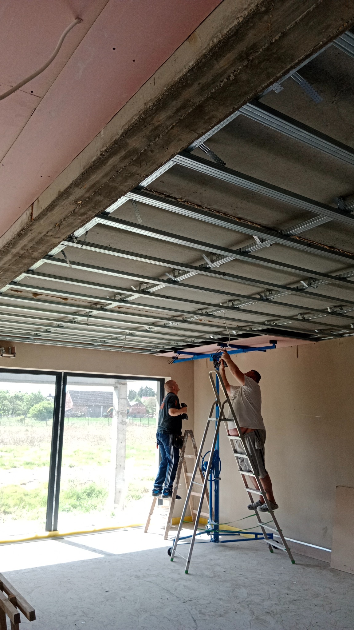 Montaż sufitu podwieszanego z płyt karton-gips: ekipa na drabinach mocuje konstrukcję z profili, widoczne płyty w kolorze różowym, duże okno w tle.