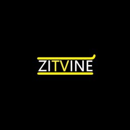 Zitvine - Firma Programistyczna Kraków