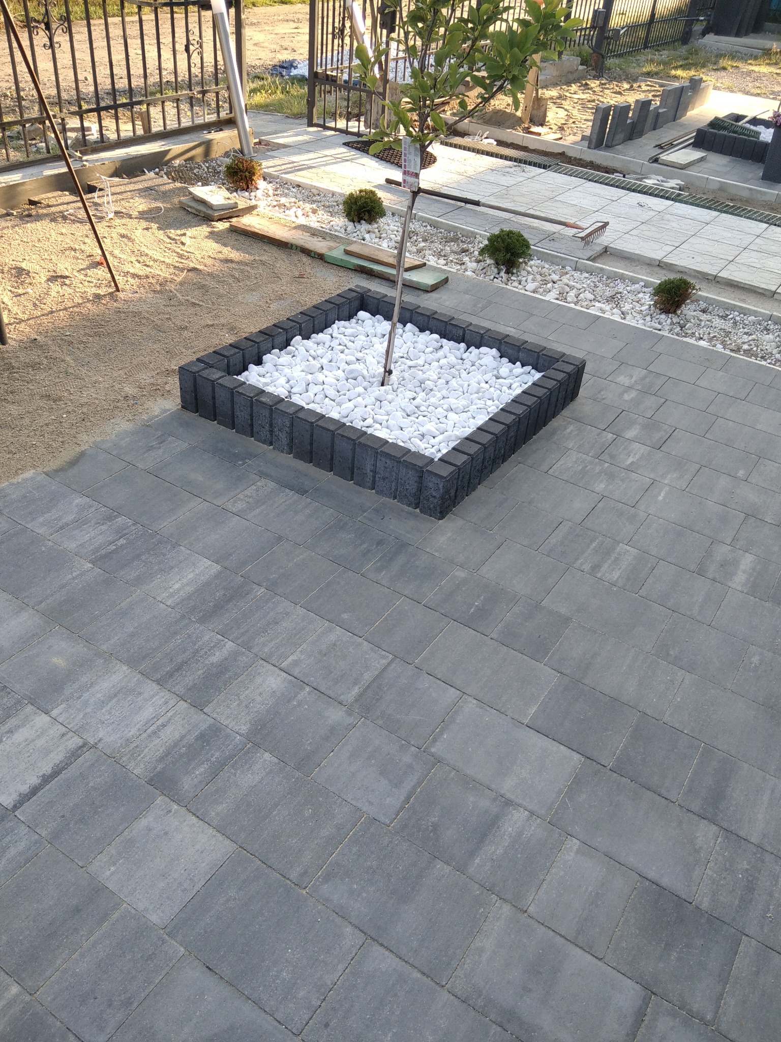 Nowo ułożona szara kostka brukowa z kwadratową obudową z ciemnej kostki wypełnioną białymi kamieniami i młodym drzewkiem pośrodku, widoczne narzędzia i przygotowane kostki w tle.