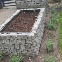 Dom i ogród Usługi Krystian Kłonowski - Podwyższona rabata z gabionów wypełniona ziemią, obok posadzone lawendy, w tle widoczny drugi gabion i fragment samochodu.