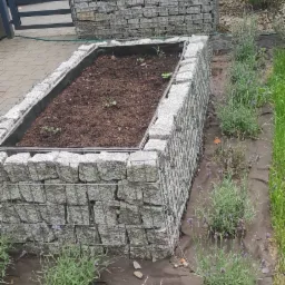 Podwyższona rabata z gabionów wypełniona ziemią, obok posadzone lawendy, w tle widoczny drugi gabion i fragment samochodu.