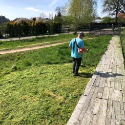 Pielęgnacja ogrodów Wrocław 4