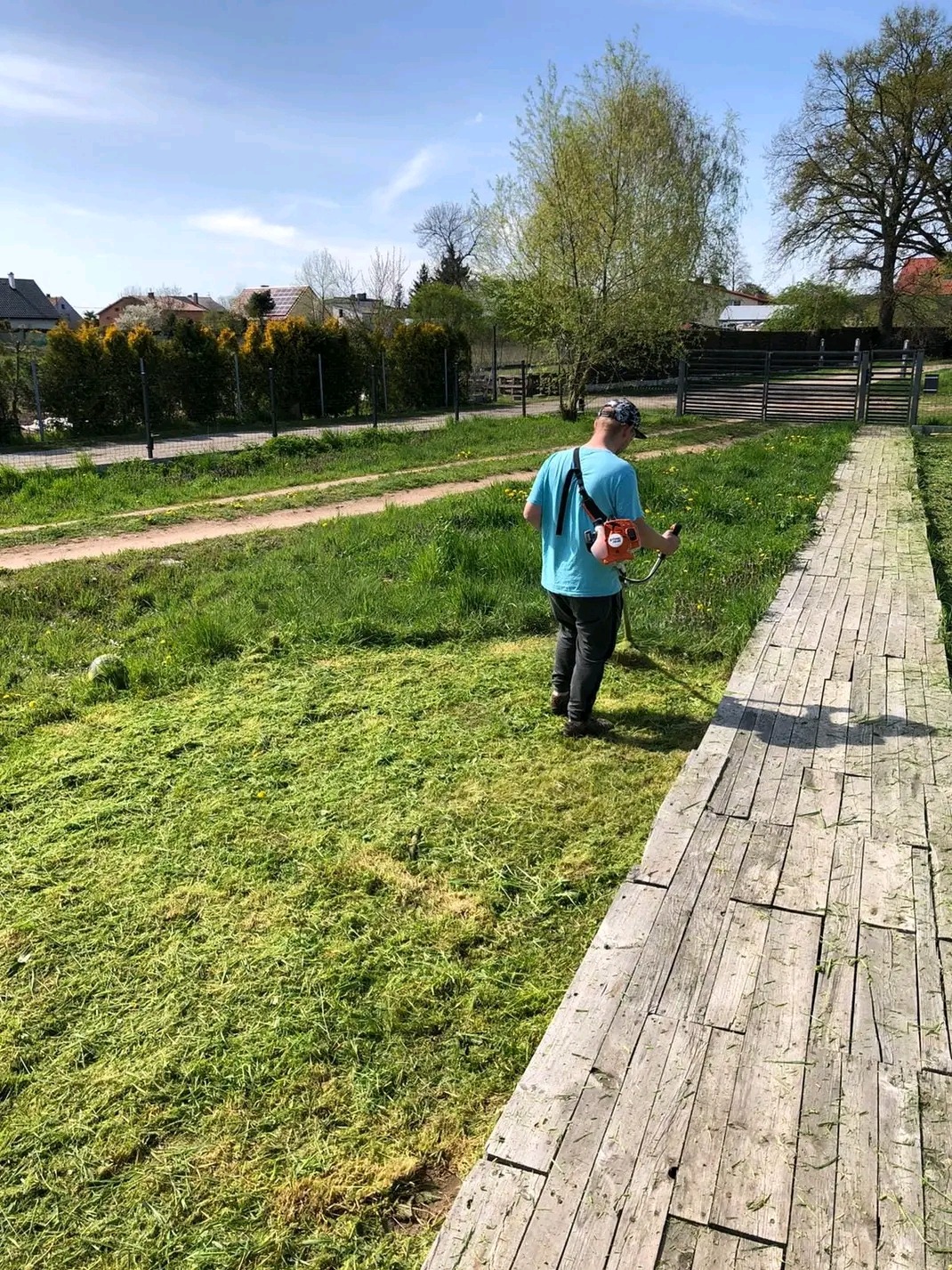 Mężczyzna w niebieskiej koszulce przycina trawę podkaszarką spalinową przy drewnianym chodniku w ogrodzie, widoczne domy w tle.