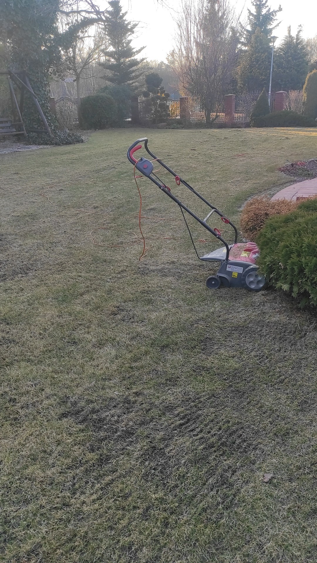 Elektryczny wertykulator na trawniku z widocznymi śladami po wertykulacji, w tle ogród z drzewami i huśtawką.