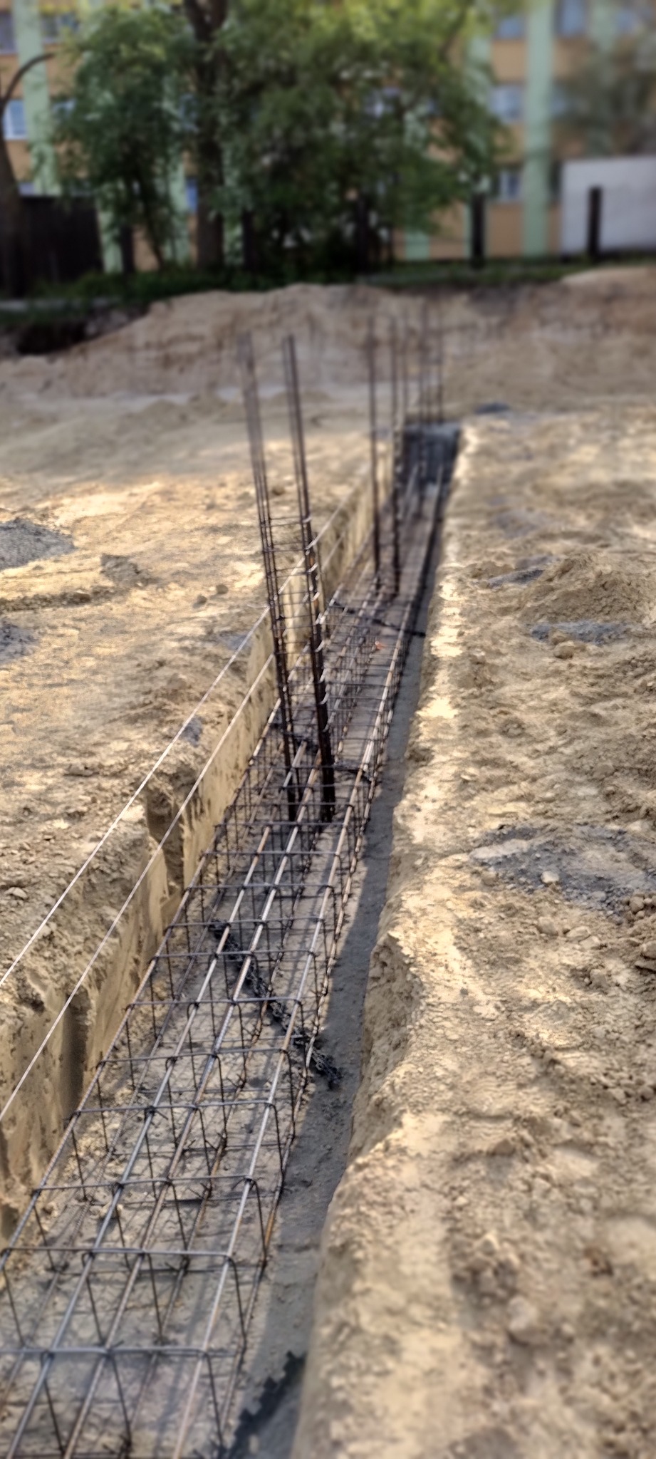Zbrojenie ławy fundamentowej w wykopie, widoczne wystające pręty pionowe, w tle drzewa i budynek mieszkalny.