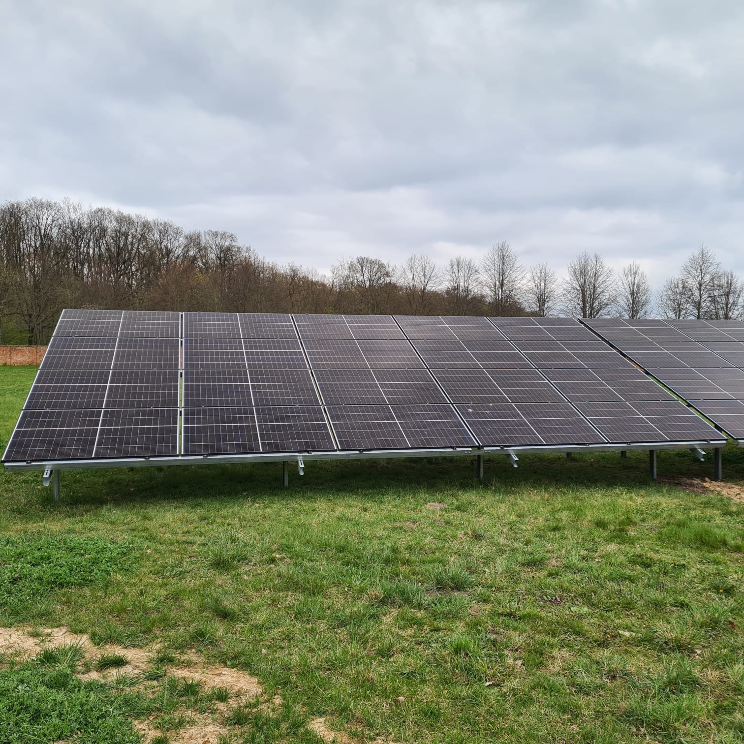 Rząd paneli słonecznych ustawionych na metalowej konstrukcji na trawiastym polu, widoczne drzewa w tle, pochmurne niebo.