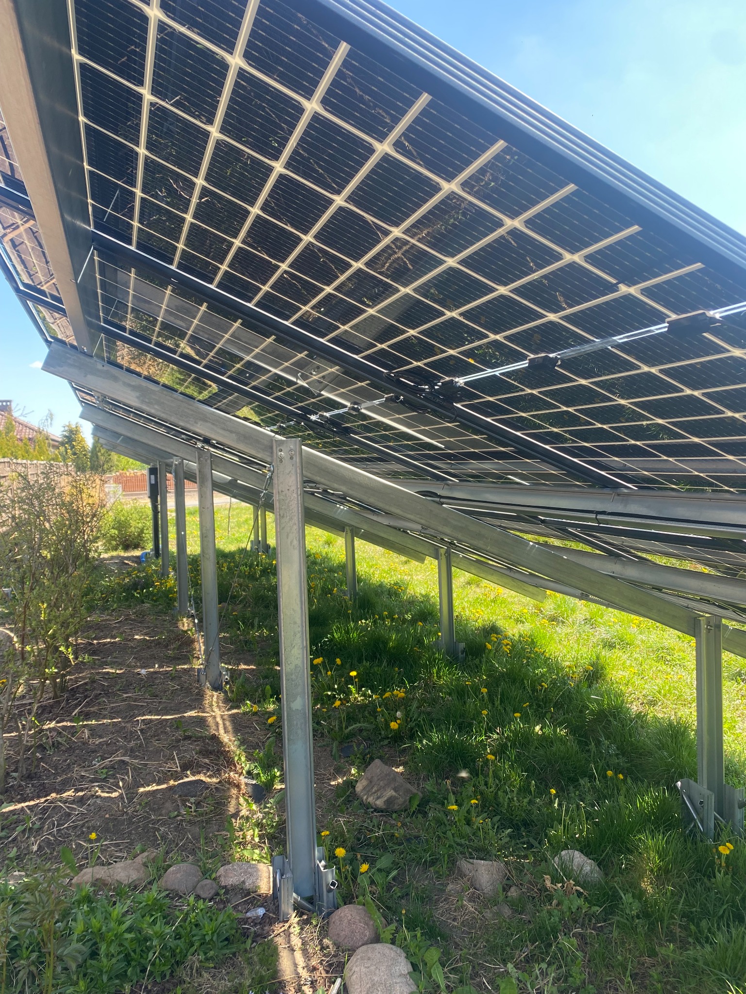 Widok od dołu na panele słoneczne na metalowej konstrukcji, z widocznym trawnikiem i dandelions w tle, instalacja przy domu jednorodzinnym.