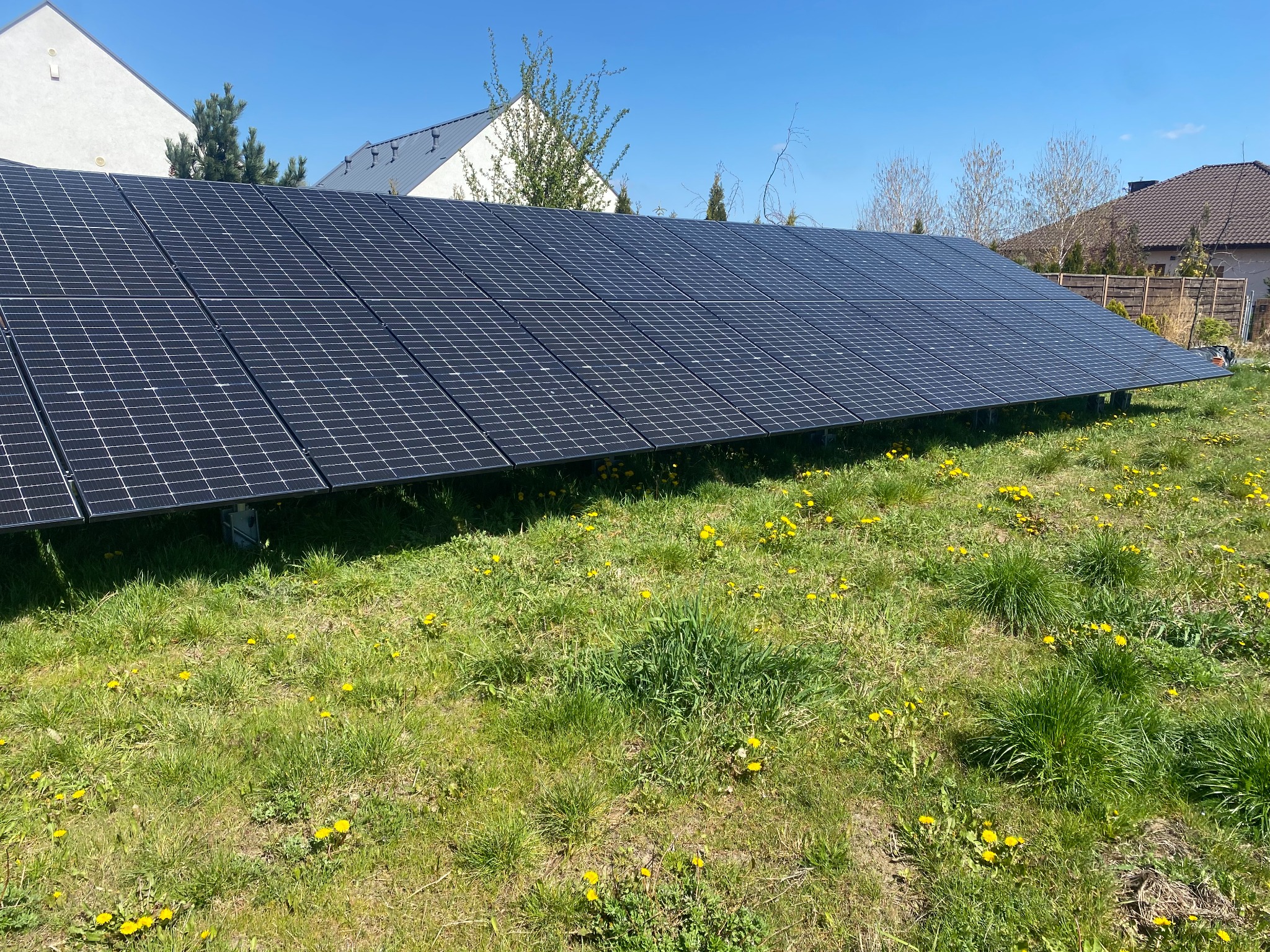 Rozległa instalacja fotowoltaiczna na gruncie, panele w czarnych ramach, tło stanowią dwa domy jednorodzinne i niebieskie niebo, trawa z żółtymi kwiatami na pierwszym planie.
