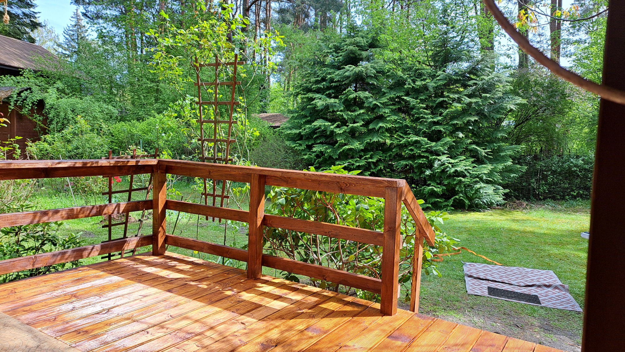 Błyszczący, drewniany taras z brązową balustradą, widok na zielony ogród z dywanem i dekoracyjną kratką. Świeże drewno w ciepłym oświetleniu.