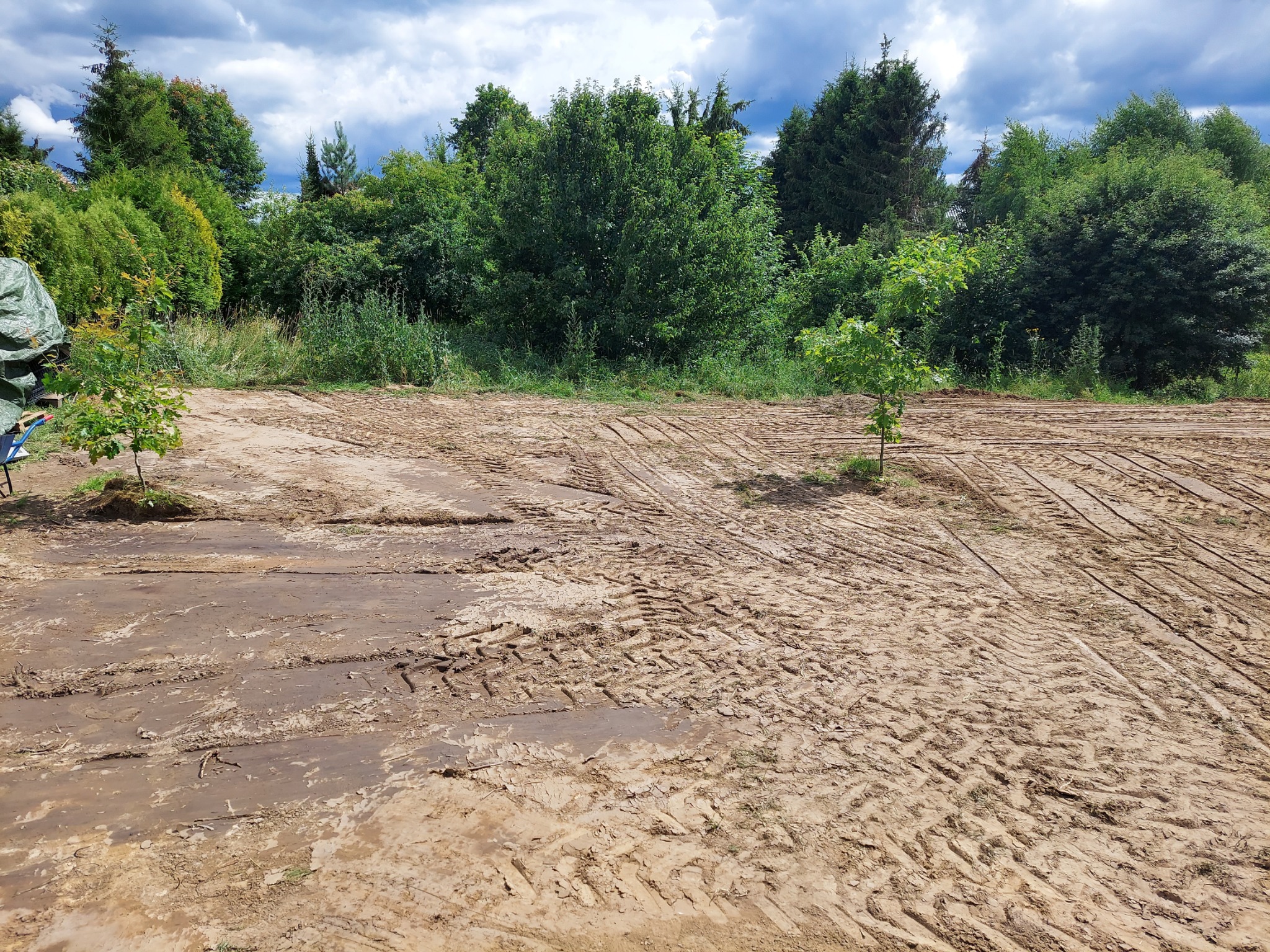Przygotowany teren pod budowę z widocznymi śladami opon, dwa młode drzewka na obrzeżach, w tle zieleń drzew i krzewów pod pochmurnym niebem.